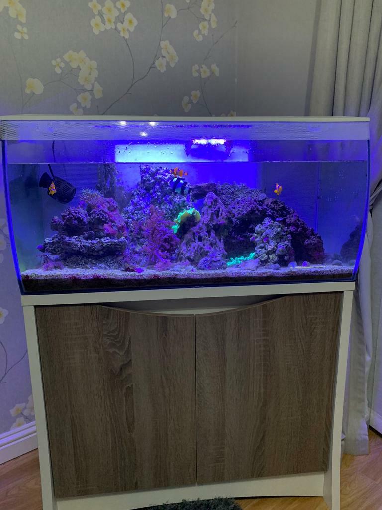 fluval flex marine